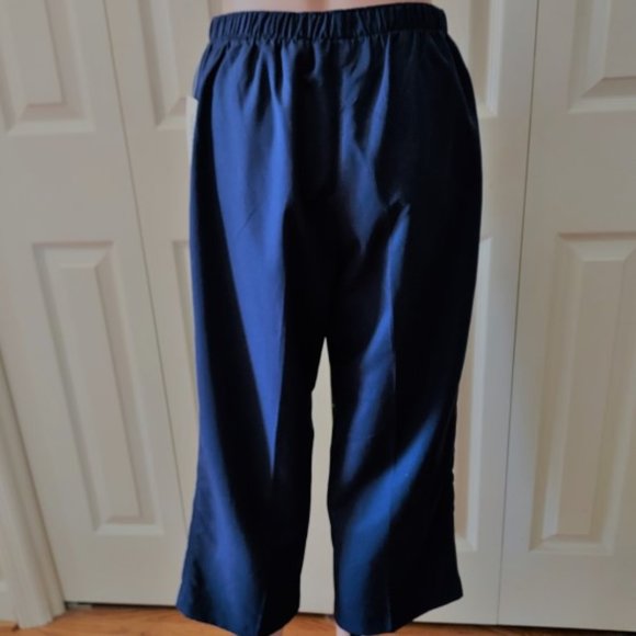 Speculation Navy Pull On Elastic Waist w/Button On Front Crop Pants Size S NWT - Picture 3 of 6